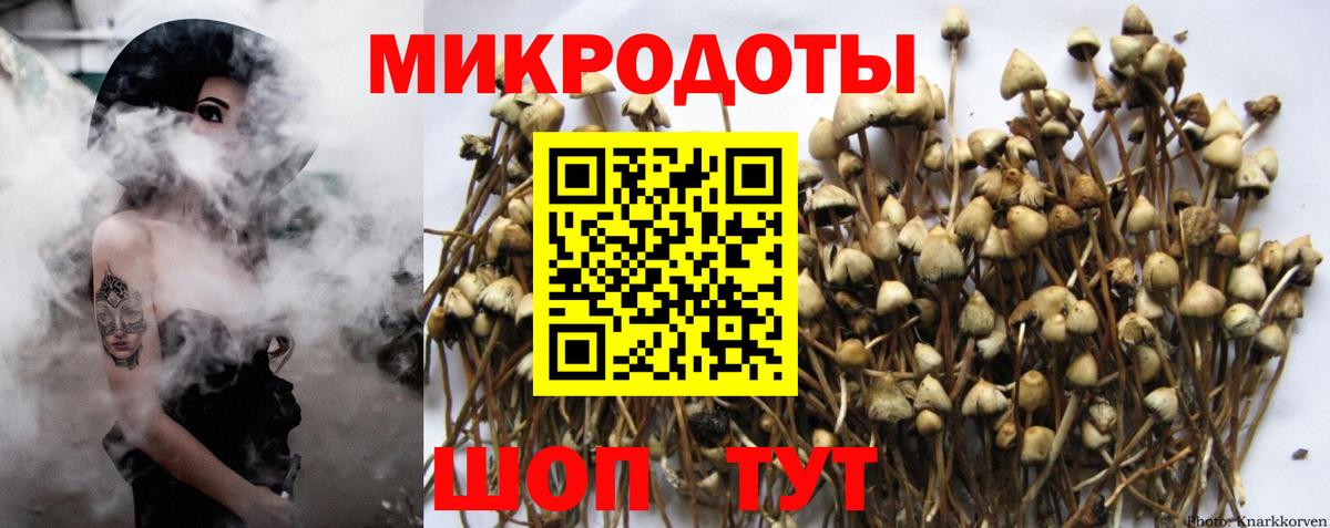 Галлюциногенные грибы GOLDEN TEACHER  Вход с VPN  Киров  Галлюциногенные грибы Magic Shrooms 