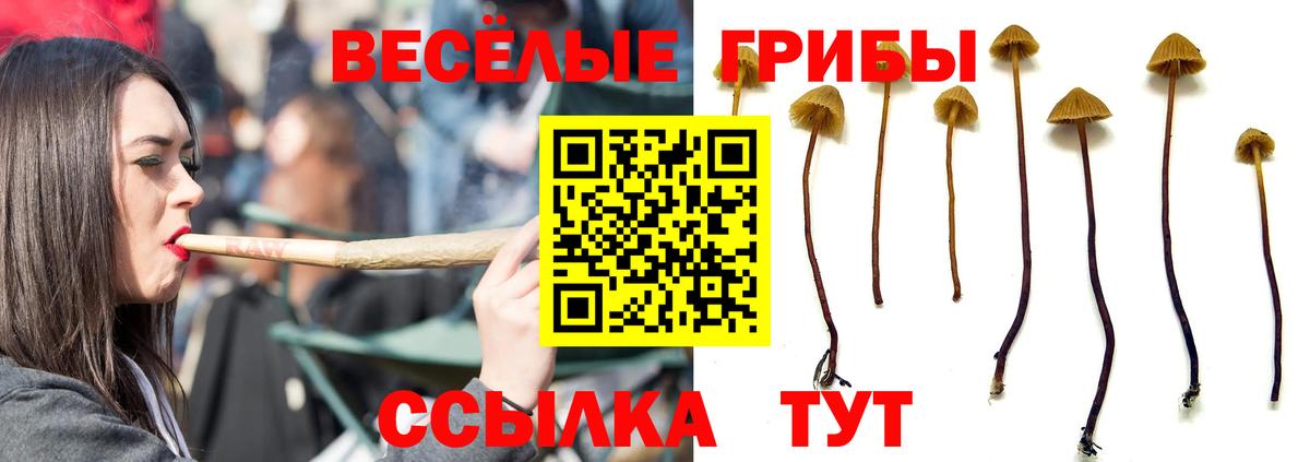 Галлюциногенные грибы Magic Shrooms Киров